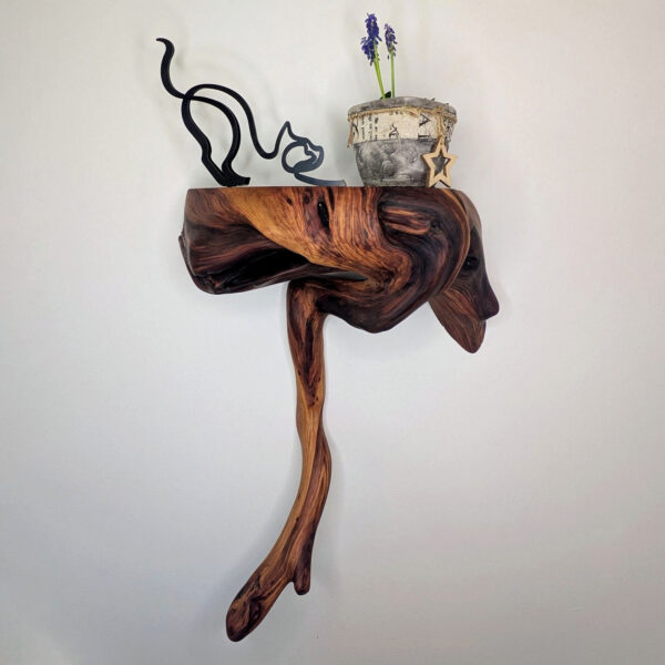 Dendrelle Display Shelf 01