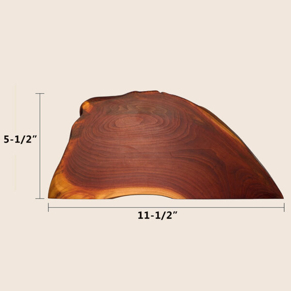 Dendrelle Display Shelf 01 - Image 10