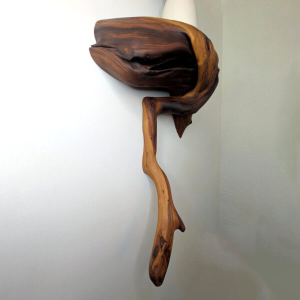 Dendrelle Display Shelf 01 - Image 9