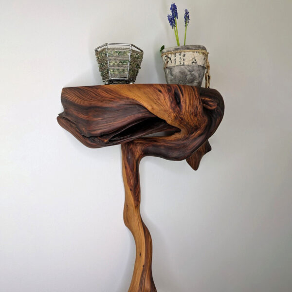 Dendrelle Display Shelf 01 - Image 5