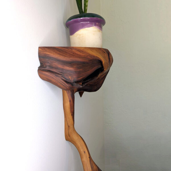 Dendrelle Display Shelf 01 - Image 8