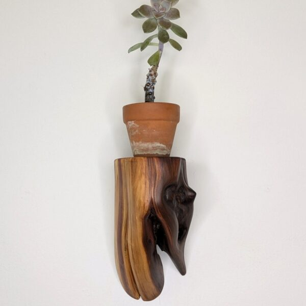 Candle Mantelette 13 - Image 7